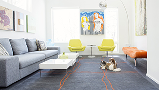 Image of a living room featuring modern styled gray sofia, bright yellow and orange seats.